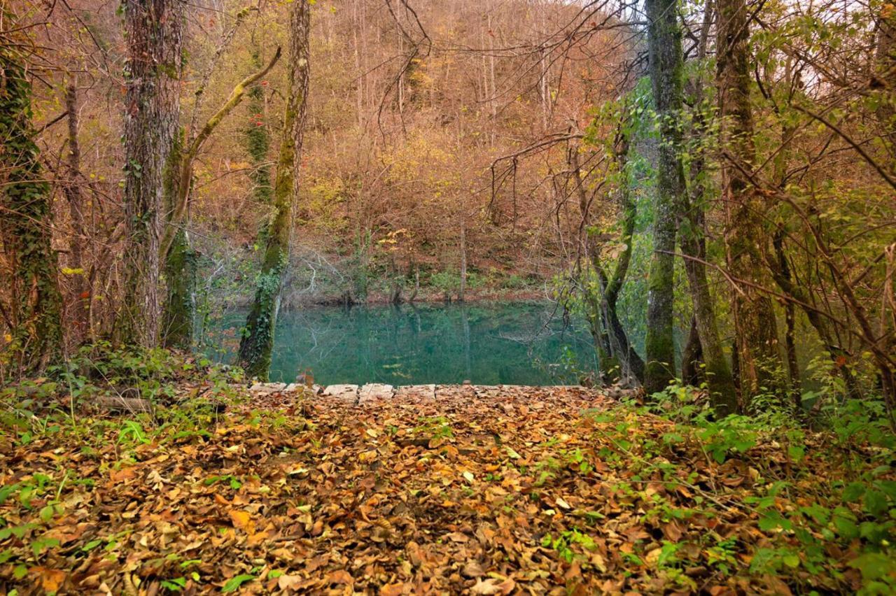 Вилла Ecotourism Мрежница Экстерьер фото